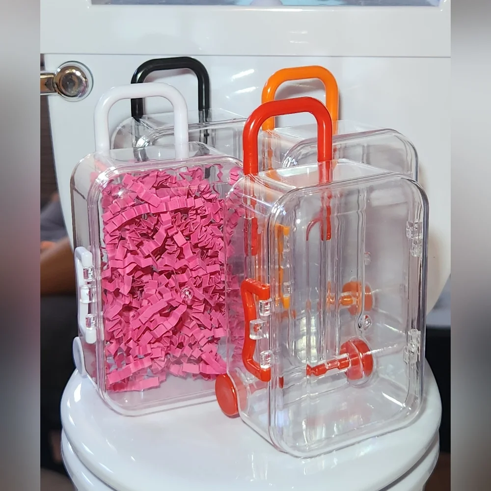 Mini Luggage For Labubu Or Doll
